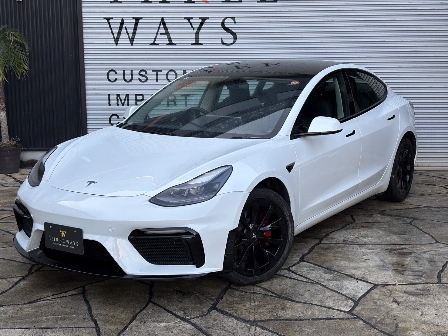 テスラ Model 3 カスタム